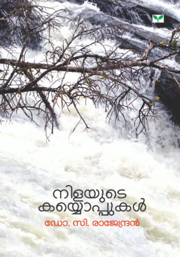 Nilayute Kayyoppukal
