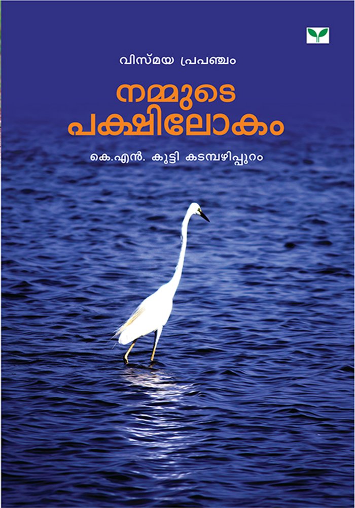 Nammute Pakshilokam