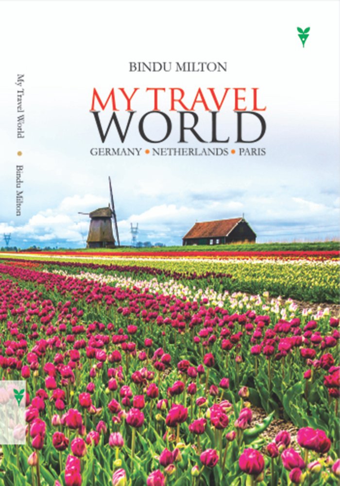 My Travel World