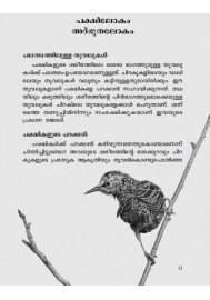 Nammute Pakshilokam